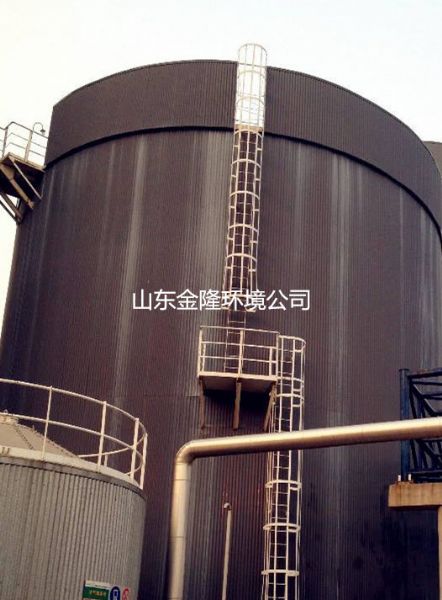 厌氧反应器污泥酸化了怎么办